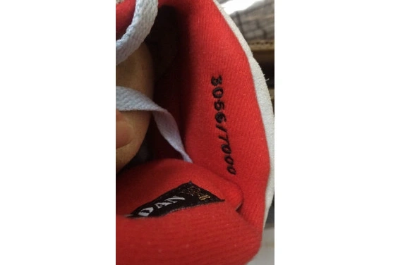 ROOM CI1899-400 TROPHY 5 AIR X JORDAN JSP CI1899-400 BLUE ICE 1119